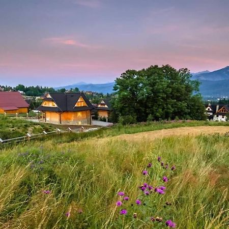 Willa Pitoniowka Z Sauna, Netflix Oraz Xbox One Kościelisko Exterior foto