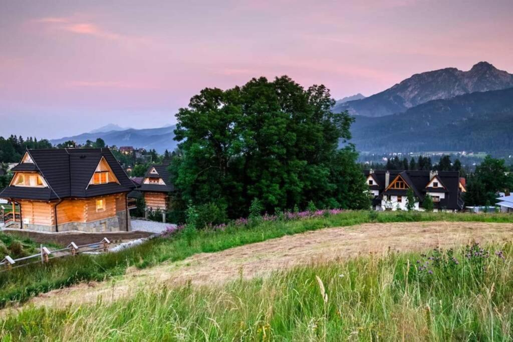 Willa Pitoniowka Z Sauna, Netflix Oraz Xbox One Kościelisko Exterior foto